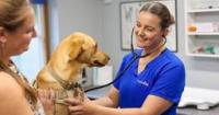 Bournemouth vet to offer unlimited vet consultations as part of healthcare plan