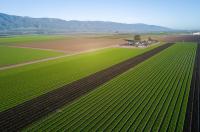Asset Quality Is The Biggest Concern For Plumas Bancorp