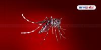 Japanese encephalitis cases on rise in Jhapa