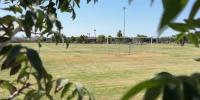 Soccer game beating at Phoenix park now investigated as homicide after 19-year-old dies