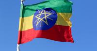The Ethiopian opposition denounces the extrajudicial execution of three young people accused of being part of militias.