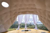 Hay's Way: Stepping into wellness, up close and personal with a shark and the Mull of Kintrye test