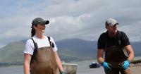 An oyster’s journey from sea to spoon in Ireland: ‘It’s far from umami we were reared’