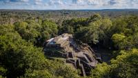 A lost city in the Mexican jungle