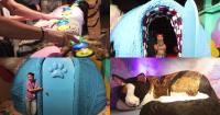 Mexico City unveils cutting-edge interactive CAT Museum