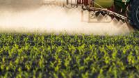AI chatbot's pesticide advice wipes out 25 acres of Chinese farmer's sesame seedlings