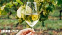 Ireland's small but determined wine industry warming up