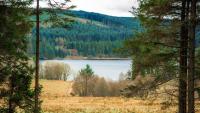 UK's largest man-made lake has enchanting forest under 2 hours from Newcastle