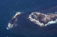 Oil pollution poses trillion-dollar threat to Gulf ecosystem