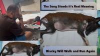 'Blacky Will Walk And Run Again': Mumbai's Activist Xavier Santiago Sings Heartfelt Song For His Dog; Take A Look!