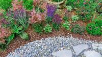 How to climate-proof your garden: The plant swaps I'll be making for next summer