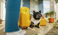 How to make emigrating with pets easier