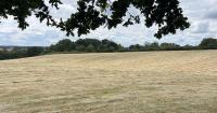 Suffolk farmers buying up neighbouring farmland, estate agent says