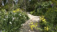 August Is the Perfect Time to Put Down Compost – and Here’s the Best Way to Do It
