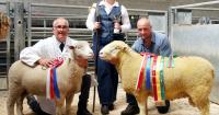 Farmer left speechless after home-bred flock's prize-winning success at show