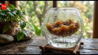 University of Texas researchers turn everyday biomass into a machine that makes water from air