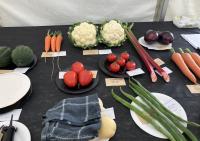Championships set to showcase the best of Irish vegetables