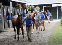 Saratoga Bidding: Fasig-Tipton New York Sale Starts Sunday