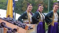 The 53rd Plum Fair in Gradacac has ended: Focus on Agriculture and Tourism