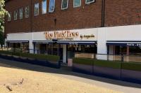 The Pink Tree's decadent Desi cuisine and vibrant splendour leave a flavourful, lasting memory