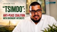 Eritrean Opposition CC Member Describes “Tsimdo” Coalition of Anti-Ethiopia Groups with Divergent Interests