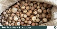 India dismantles network faking Bangladesh origin to avoid areca nut duty