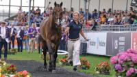Horses from teams in medal positions held at eventing World Championships final trot-up