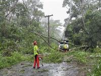 Hawaii island avoids a direct hit, but Lala still wreaks havoc