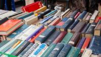 Used Booksellers Are Racking Up Huge Sales. They’re Not Thrilled About the Likely Reason