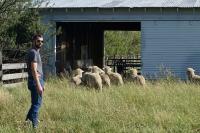 Wool educator teaches the joys of keeping it real