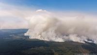 Hundreds flee as Belgium battles wildfire at German border