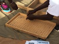 The “Marble Idiosyncrasy”: Trust and The Future of Elections in The Gambia