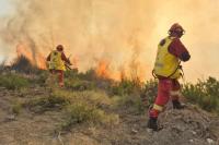 Albania Deploys Hundreds of Firefighters, Aircraft as Wildfires Continue Across the Country