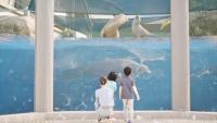 See the Florida Aquarium’s next stage of expansion in new concept art