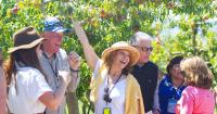 Leaders from Taiwan, Canada and Front Range visit Palisade for agricultural tour