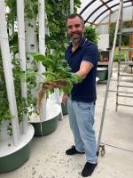 Thai basil and Chinese cabbage thriving in Orkney