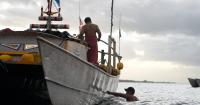 Samoa's commercial tuna catch dropped by 91 per cent from its 2023 peak