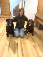 Wiscasset Dog Grooming Business Open
