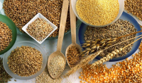 The Restructuring of the Global Grain Market: Who Stands to Gain?