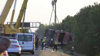 Twelve dead and 10 injured in tourist bus crash in Hungary after driver 'fell asleep at the wheel'