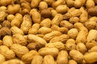'Poop Pills' Show Early Promise For Treating Severe Peanut Allergy, Boston Researchers