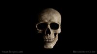 Ancient brain surgery: Viking-era skull reveals early medical intervention