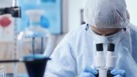 UK researchers are growing miniature human tissue from NHS patient cells to improve drug testing