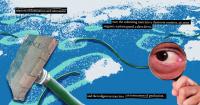 Why Maldivian scientists are missing from their own marine research