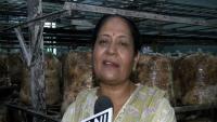 Chhattisgarh: Woman empowers thousands via innovative mushroom farming