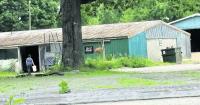 Barn Fires Spur New Fire Safety Measures at New York Racetracks
