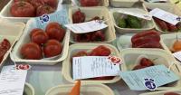 Yakima County Master Gardeners: What you grow, bake or create could earn a blue ribbon at the fair