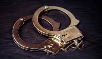 Mumbai police bust illegal hydroponic cannabis lab allegedly set up using YouTube tutorials