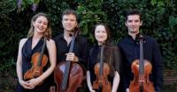 Music festival to fill town with sound and imagination