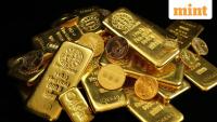 Belgium student unearths  ₹99-crore gold stash during routine sewer work under former brewery. But he can't keep it